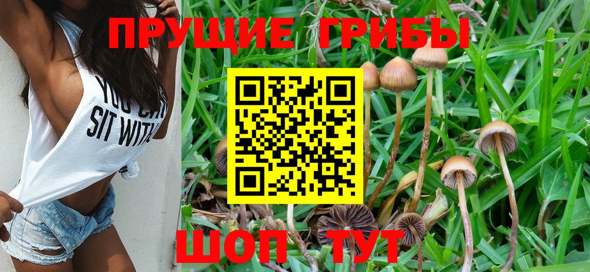 Хасавюрт  Псилоцибиновые грибы мицелий  Вход с VPN 