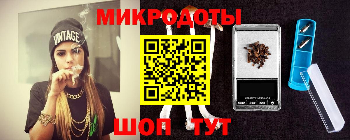 Псилоцибиновые грибы Psilocybe Хасавюрт